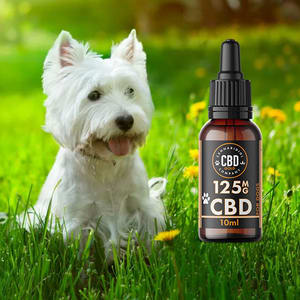 cbd kleine hond
