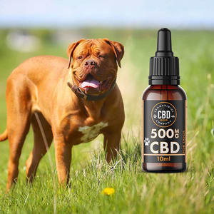 cbd grote hond