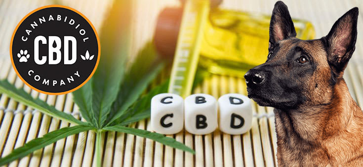 Verschillende soorten CBD olie voor honden