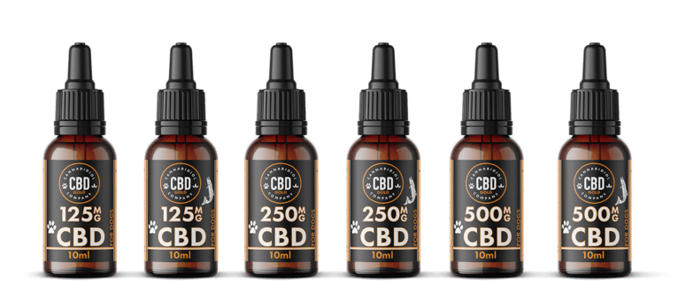 wat doet cbd bij hond