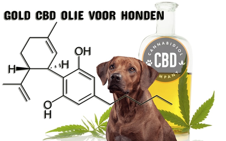 welke cbd voor honden